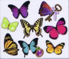 Qlia Booklatte Butterflies 2